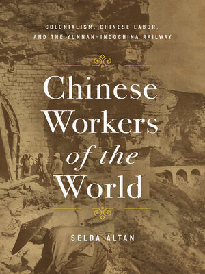 cover image of Chinese Workers of the World